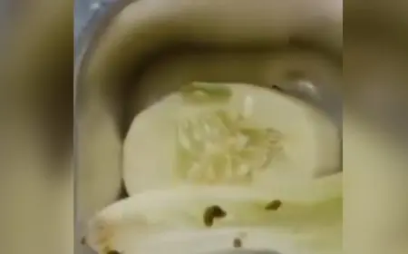Duh! Beredar Video Menu MBG Berulat di Kedungpring Lamongan