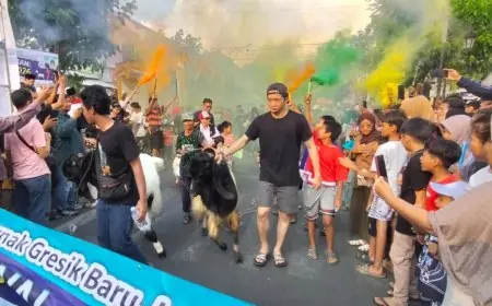 Arak-Arakan Ratusan Kambing Jumbo Ramaikan Festival Qurban 1 K 2026 di Bandar Grissee