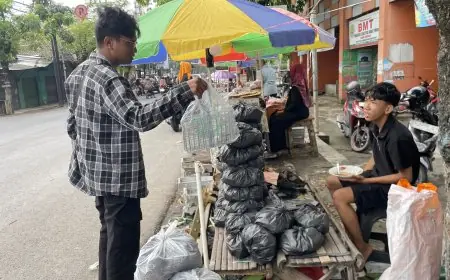Sepi Pembeli, Omzet Pedagang Arang di Lamongan Anjlok pada Iduladha Tahun Ini