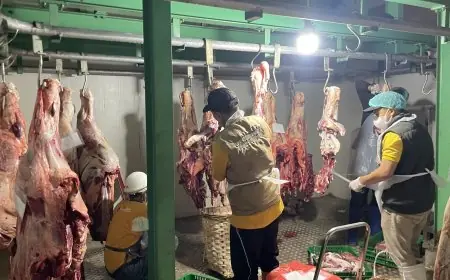 Pemotongan Hewan Kurban di RPH Lamongan Alami Peningkatan