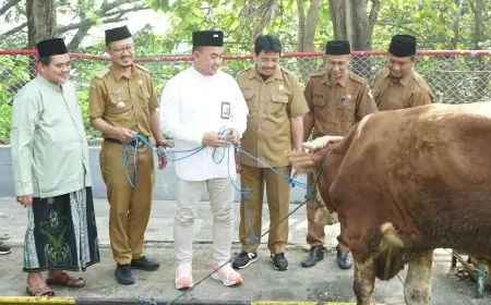 Libatkan UMKM Lokal, SIG Distribusikan Ratusan Hewan Kurban Hingga Papua Barat
