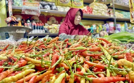 Pasca Iduladha, Harga Bawang Merah Hingga Cabai di Lamongan Melonjak Tajam