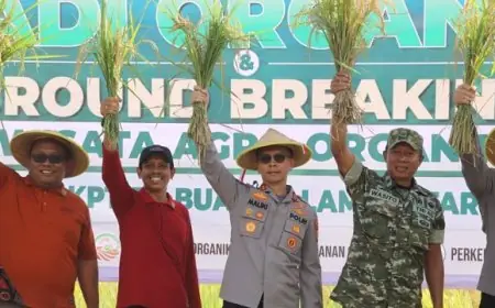 Dukung Ketahanan Pangan, Kapolres Trenggalek Panen Perdana Padi Organik di Durenan