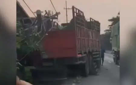 Akibat Kaget, Truk Tronton Tabrak Tiang Listrik di Babat Lamongan hingga Roboh