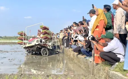 Lamongan Kokohkan Status Lumbung Pangan Nasional, Wamentan RI: Kunci Panen Melimpah