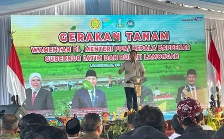 Wamentan RI di Lamongan: Cadangan Beras Nasional 28 Juta Ton Aman dari El Nino