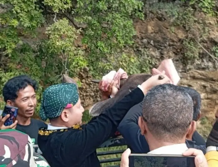 Tradisi Dam Bagong, Upaya Bupati Trenggalek Lestarikan Budaya Sekaligus Dongkrak Ekonomi