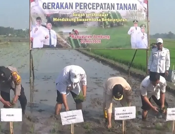 Percepatan Tanam di Jombang, Dinas Pertanian Targetkan 100 Persen Lahan Tercapai Bulan Mei