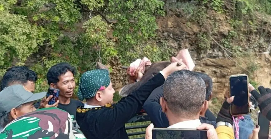 Tradisi Dam Bagong, Upaya Bupati Trenggalek Lestarikan Budaya Sekaligus Dongkrak Ekonomi
