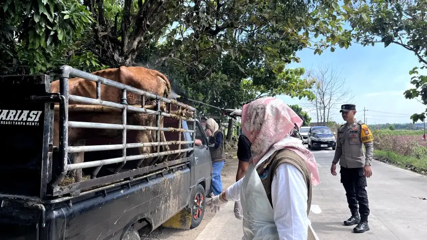 Disnakeswan Lamongan Perketat Lalu Lintas Ternak di Perbatasan Jombang