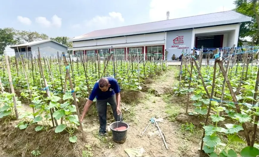 KDKMP Berdiri di Dekat Makam Tumenggungan Lamongan, Warga dan Juru Kunci Malah Bersyukur: Enggak Seram Lagi!