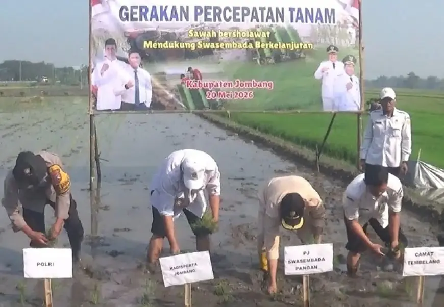 Percepatan Tanam di Jombang, Dinas Pertanian Targetkan 100 Persen Lahan Tercapai Bulan Mei