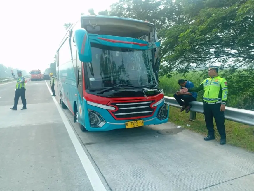 Kecelakaan Maut Tol, Bus Pariwisata Tabrak Truk Box, Sopir Truk Tewas