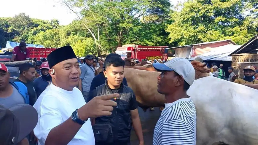Pemkab Situbondo Revitalisasi Pasar Sapi Sumberkolak, Kapasitas Bakal Ditingkatkan Jadi 2.000 Ekor