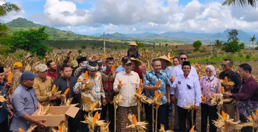 Dukung Swasembada Pangan, Ahmad Baharudin Ajak Warga Ngepoh Kelola Lahan dengan Bijak