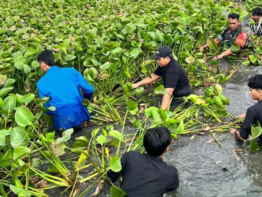 Aksi Peduli Lingkungan, Ketua DPRD dan PMII Gresik Turun Langsung Bersihkan Enceng Gondok