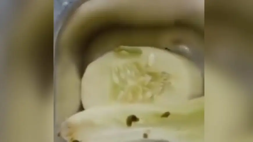 Duh! Beredar Video Menu MBG Berulat di Kedungpring Lamongan