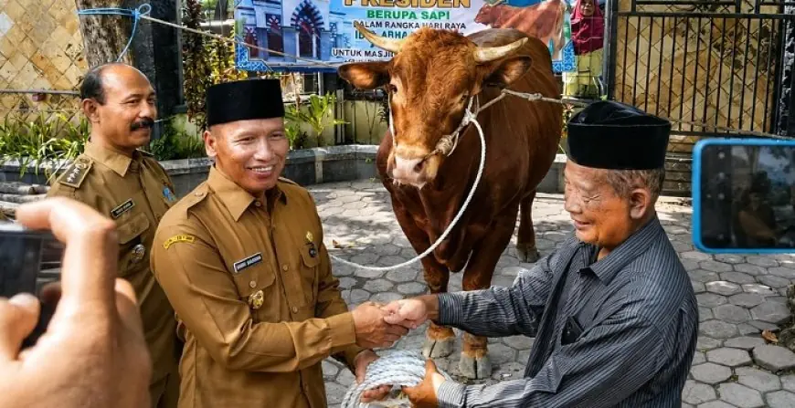 Rayakan Idul Adha, Pemkab Tulungagung Salurkan Sapi Bantuan Presiden dan 27 Hewan Kurban