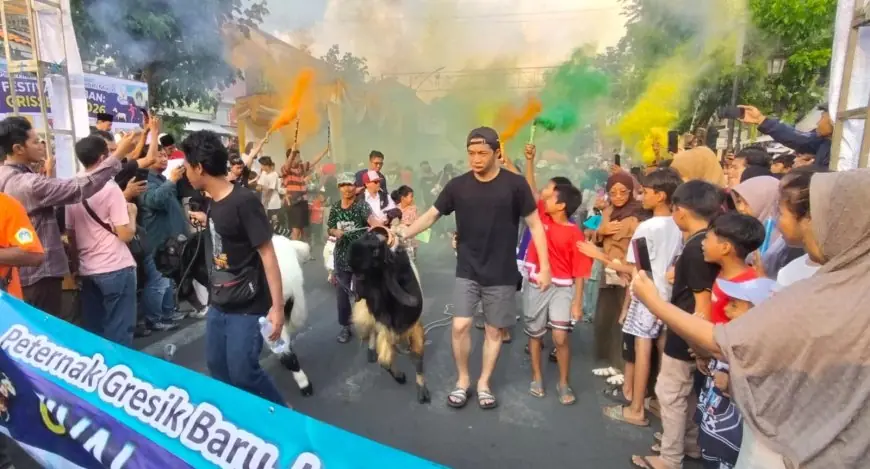 Arak-Arakan Ratusan Kambing Jumbo Ramaikan Festival Qurban 1 K 2026 di Bandar Grissee