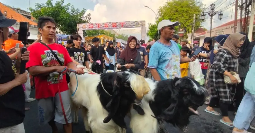 Arak-Arakan Ratusan Kambing Jumbo Ramaikan Festival Qurban 1 K 2026 di Bandar Grissee