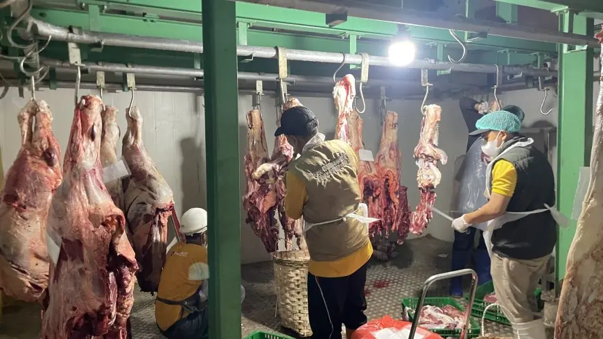 Pemotongan Hewan Kurban di RPH Lamongan Alami Peningkatan