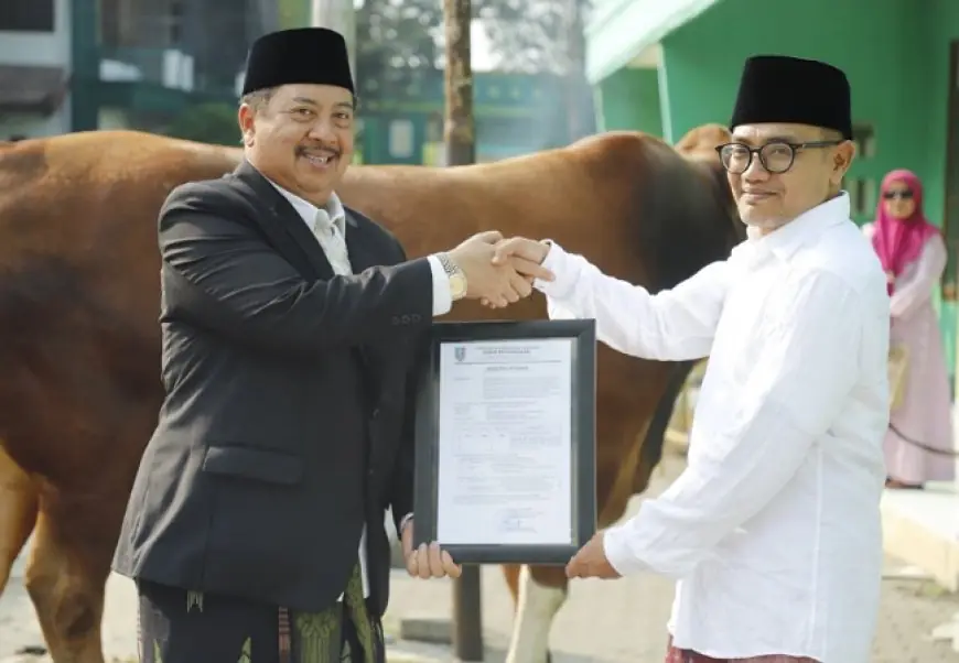 Bupati Warsubi Serahkan Sapi Kurban Presiden Prabowo ke Masjid Jami Denanyar