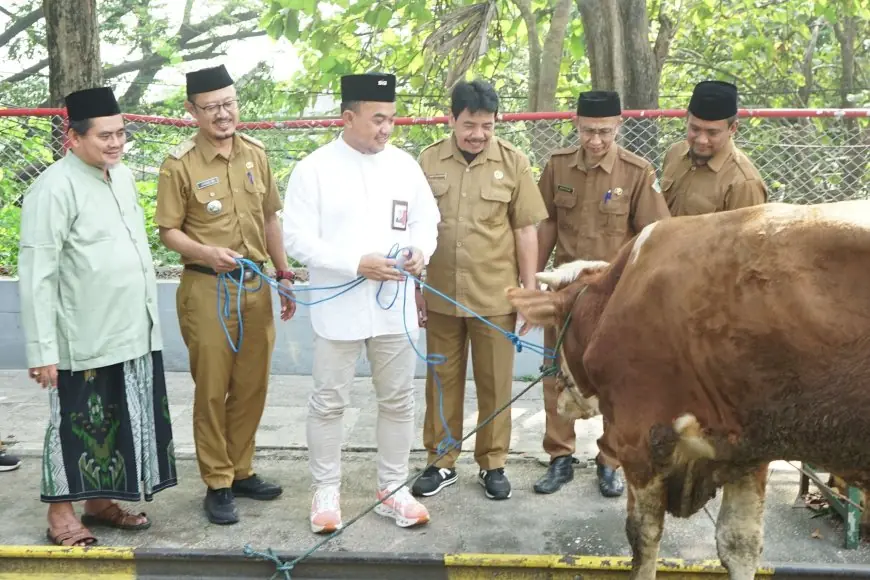 Libatkan UMKM Lokal, SIG Distribusikan Ratusan Hewan Kurban Hingga Papua Barat