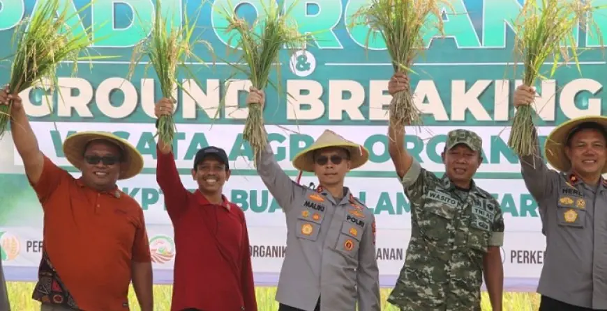 Dukung Ketahanan Pangan, Kapolres Trenggalek Panen Perdana Padi Organik di Durenan