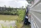 Uji Laboratorium Temukan Pelanggaran Limbah Tambak Udang di Gresik Utara, Pemilik Usaha Segera Dipanggil