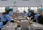 BGN Hentikan Operasional 8 Dapur MBG di Gresik, Empat Sudah Kembali Beroperasi