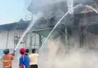 Pabrik Pengolahan Kayu di Kedungpring Lamongan Terbakar, Aset Rp2 Miliar Berhasil Diselamatkan
