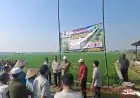 Dinas Pertanian Jombang Gencar Sosialisasi Bahaya Hama Tungro ke Petani