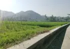 Masyarakat Diminta Bersabar, Tak Semua Usulan Jalan Tani dan Irigasi Pacitan Bisa Direalisasikan