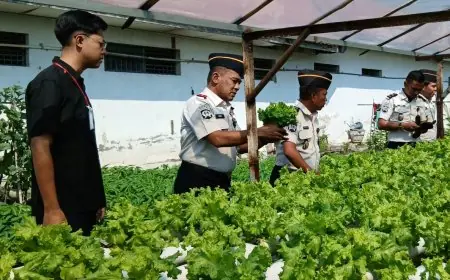 Dukung Program MBG, Lapas Lamongan Suplai Selada Hidroponik ke SPPG Keduyung