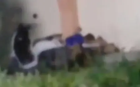 Vira Video Sejoli Diduga Berbuat Asusila di Alun-Alun Sidayu Gresik, Polisi Bergerak Selidiki