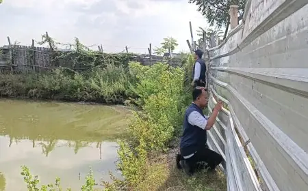 Uji Laboratorium Temukan Pelanggaran Limbah Tambak Udang di Gresik Utara, Pemilik Usaha Segera Dipanggil