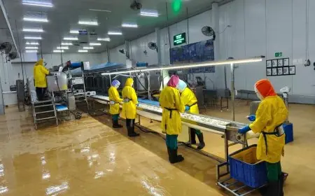 PT BMI Lamongan Pastikan Gangguan Injeksi Klorin Sudah Teratasi, Bantah Isu Keracunan Gas