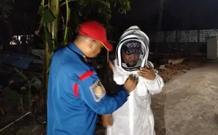 Ancaman Tawon Vespa Mengintai Permukiman, Damkar Gresik Minta Warga Waspada