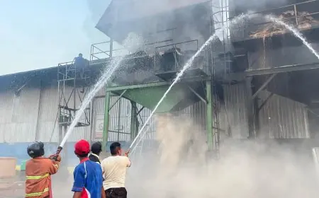 Pabrik Pengolahan Kayu di Kedungpring Lamongan Terbakar, Aset Rp2 Miliar Berhasil Diselamatkan