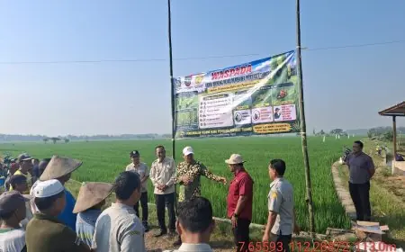 Dinas Pertanian Jombang Gencar Sosialisasi Bahaya Hama Tungro ke Petani