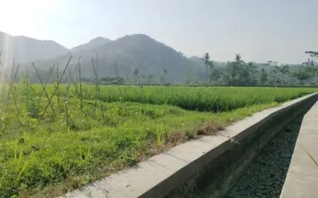 Masyarakat Diminta Bersabar, Tak Semua Usulan Jalan Tani dan Irigasi Pacitan Bisa Direalisasikan