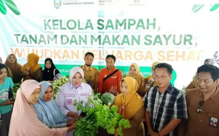 ​Sukses Olah Limbah Dapur Jadi Pupuk, Pemkab Situbondo Bagikan Hasil Panen Sawi Organik
