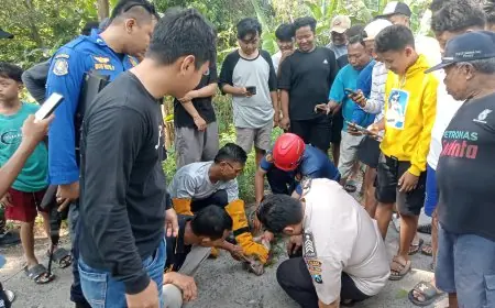 Lukai 5 Warga, Monyet Liar di Bluluk Lamongan Terpaksa Dilumpuhkan Petugas Damkar