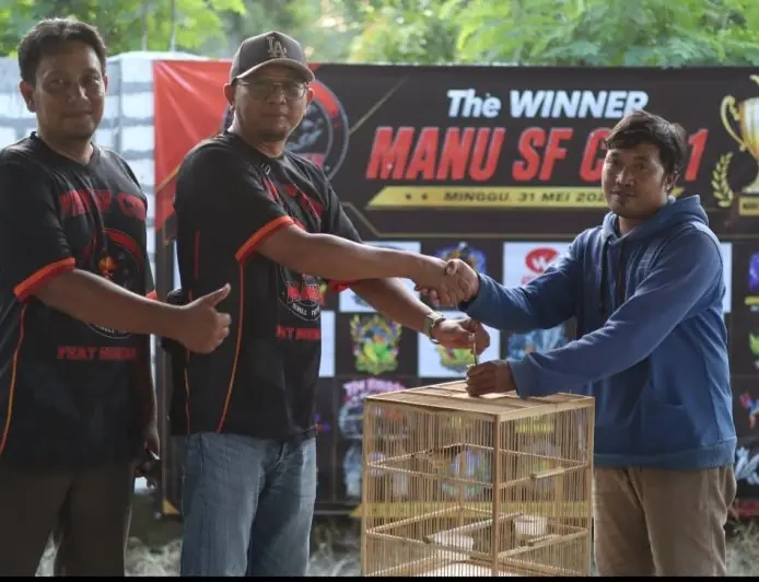 Adu Gengsi Jawara Kicaumania di Gresik, Ratusan Burung Berkualitas Ramaikan Piala Manu SF Cup 1
