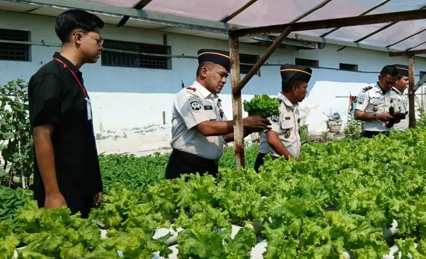 Dukung Program MBG, Lapas Lamongan Suplai Selada Hidroponik ke SPPG Keduyung