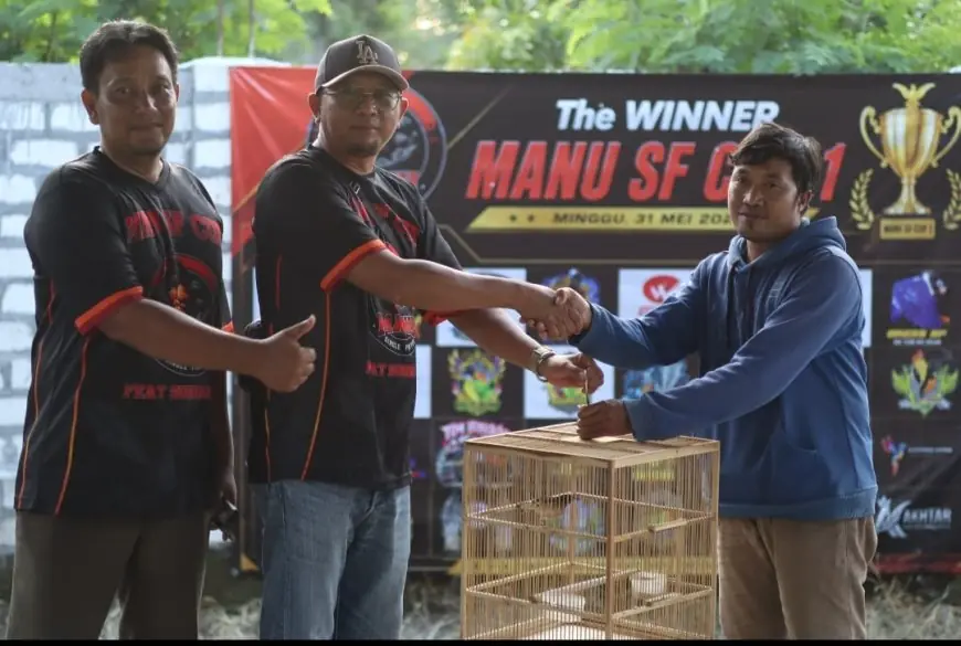 Adu Gengsi Jawara Kicaumania di Gresik, Ratusan Burung Berkualitas Ramaikan Piala Manu SF Cup 1