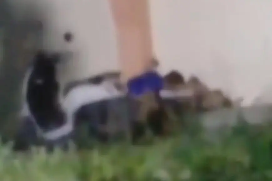Vira Video Sejoli Diduga Berbuat Asusila di Alun-Alun Sidayu Gresik, Polisi Bergerak Selidiki