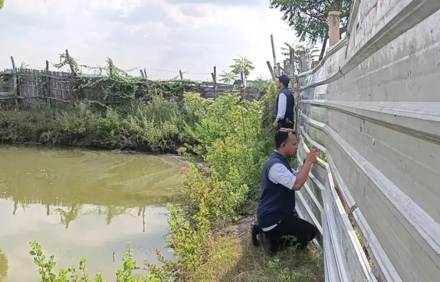 Uji Laboratorium Temukan Pelanggaran Limbah Tambak Udang di Gresik Utara, Pemilik Usaha Segera Dipanggil
