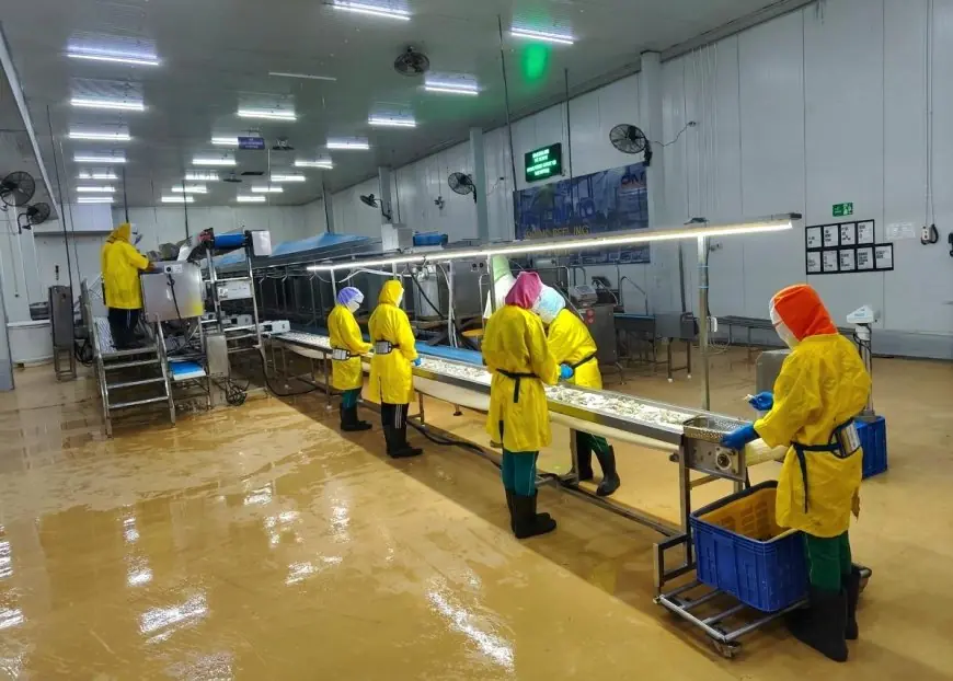 PT BMI Lamongan Pastikan Gangguan Injeksi Klorin Sudah Teratasi, Bantah Isu Keracunan Gas