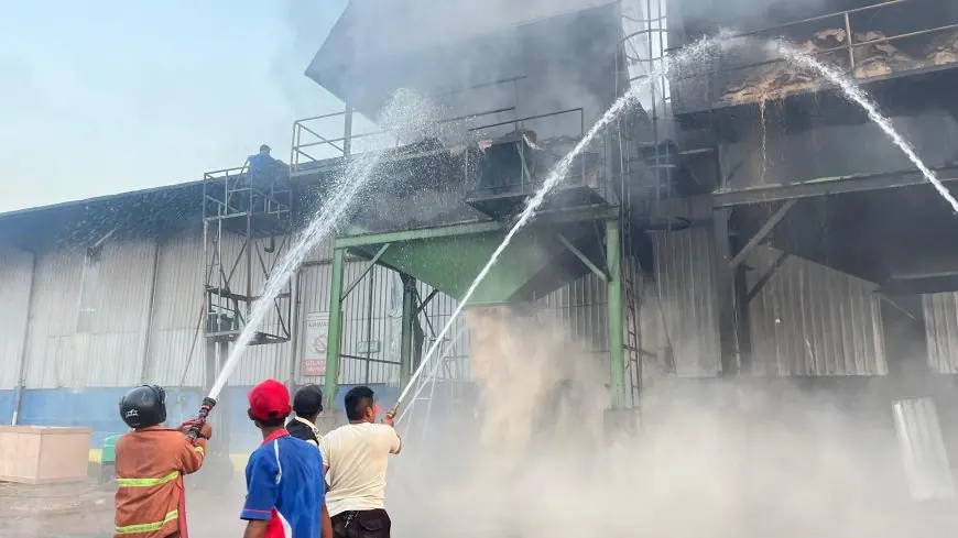 Pabrik Pengolahan Kayu di Kedungpring Lamongan Terbakar, Aset Rp2 Miliar Berhasil Diselamatkan